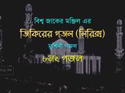 ৮নং গজল : দয়াল মাঝিরে, পারের বেলা আর পারের নাইয়া নাই। ৮নং গজল : দয়াল মাঝিরে, পারের বেলা আর পারের নাইয়া নাই।