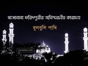 খাজাবাবা ফরিদপুরীর অবিস্মরনীয় কারামত : বুলবুলি পাখি খাজাবাবা ফরিদপুরীর অবিস্মরনীয় কারামত : বুলবুলি পাখি