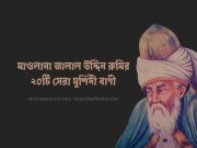 মাওলানা জালাল উদ্দিন রুমির ২০টি সেরা মুর্শিদী বাণী