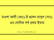 মওলা আলী (আঃ)-ই হলেন রাসুল (সাঃ) এর ঘোষিত সর্ব প্রথম ইমাম মওলা আলী (আঃ)-ই হলেন রাসুল (সাঃ) এর ঘোষিত সর্ব প্রথম ইমাম