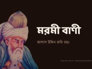 মাওলানা জালাল উদ্দীন রুমি (রহঃ) এর মরমী বাণী পর্ব-১