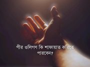 পীর ওলিগণ শাফায়াত করিতে পারিবেন কিনা? তাহার দলিল।