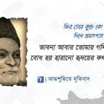 মির্জা গালিবের বাণী ও পঙক্তি সমাহার! 6