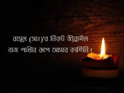 রাসূল (সাঃ)’র নিকট জীব্রাইল বাজ পাখীর রূপে আসার কাহিনি।