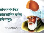 জীবনদর্শন নিয়ে জালালউদ্দিন রুমির বাণী সমাহার।