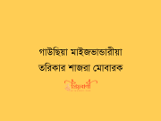 গাউছিয়া মাইজভান্ডারীয়া তরিকার শাজরা মোবারক