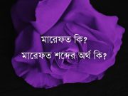 মারেফত কি এবং মারেফত শব্দের অর্থ।