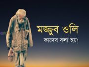 মজ্জুব ওলি কাদের বলা হয়!