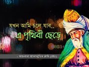 যখন আমি চলে যাব এ পৃথিবী ছেড়ে-মাওলানা রুমী।