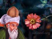 ওলিরা মানব রুপী হলেও তারা সাধারন মানুষের মত নন।