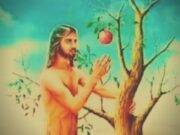 আদম ও গন্দম (সূফীতত্ত্ব)