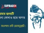 আমার হৃদয়টি অন্য কোথাও হতে আগত (মাওলানা রুমি)