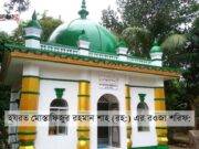 হযরত মোস্তাফিজুর রহমান শাহ (রহ:) এর জীবনী