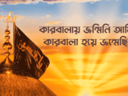 কারবালায় জন্মিনি আমি কারবালা হয়ে জন্মেছি