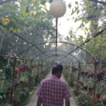 ড. এমদাদুল হক