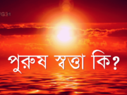 পুরুষ স্বত্তা কি?