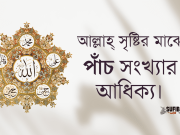 আল্লাহ্ সৃষ্টির মাঝে পাঁচ সংখ্যার আধিক্য।