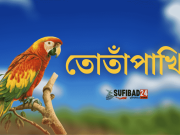হায়রে তোতাঁপাখি তোর অঙ্গে এত রূপ তোতাঁপাখি