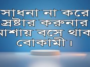 চাষাবাদ না করে ফল আসা করা বোকামী