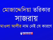 মোজাদ্দেদিয়া তরিকার সাজরায় মাওলা আলীর নাম নেই যে কারণে।