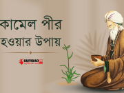 কামেল পীর হওয়ার উপায়।