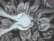 দান নয়, ত্রাণ