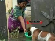 জীবের প্রতি দয়ার চেয়ে বড় কোনো মহৎ কাজ নেই।