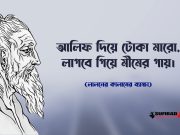 আলিফ দিয়ে টোকা মারো, লাগবে গিয়ে মীমের গায়।