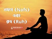 নফস (Nafs) ও রুহ (Ruh)