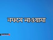 নফসে লাওয়ামা ও তার বৈশিষ্ট্য