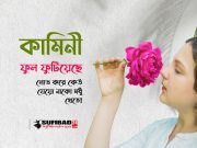 কামিনী ফুল ফুটিয়েছে (দেহতত্ত্ব)
