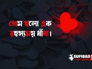 প্রেম হলো এক রহস্যময় ধাঁধা।