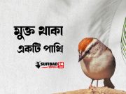 মুক্তথাকা একটি পাখিকে আমার ঘরে বন্ধি করেছিলাম৷