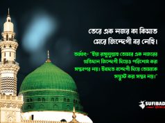 তেরে এক নজর কা কিমাত মেরে জিন্দেগী বর নেহি।