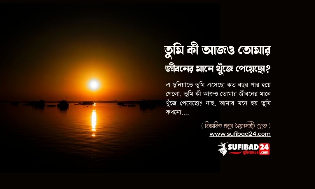 তুমি কী আজও তোমার জীবনের মানে খুঁজে পেয়েছো