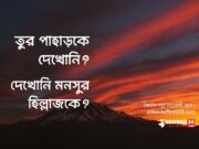 তুর পাহাড়কে দেখোনি? দেখোনি মনসুর হিল্লাজকে?